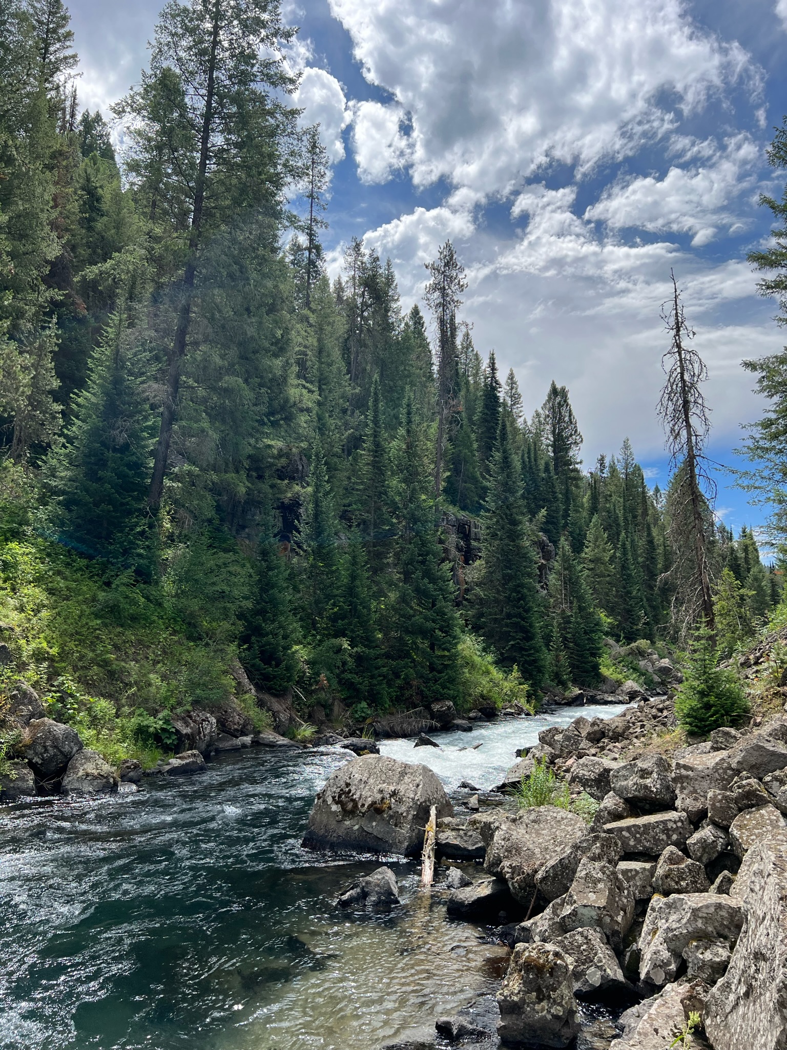 About river pic